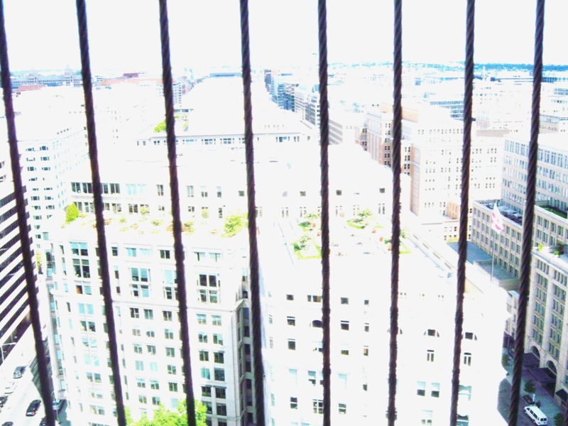100_1002