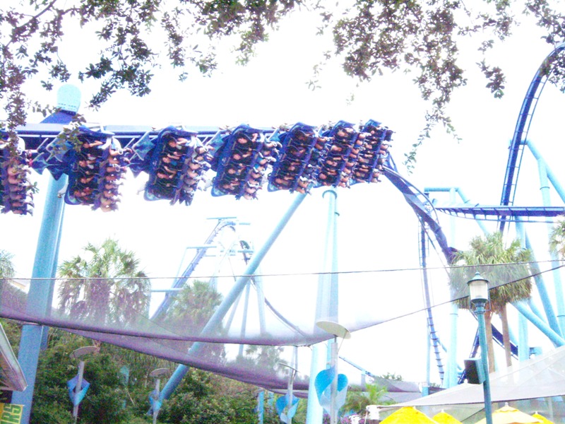 100_1039