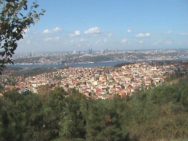 DSC00052