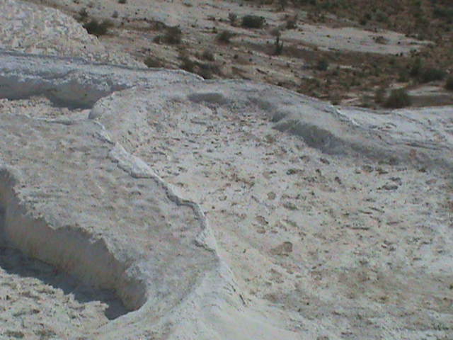 DSC00101